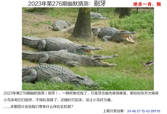 幽默猜测图更新中
