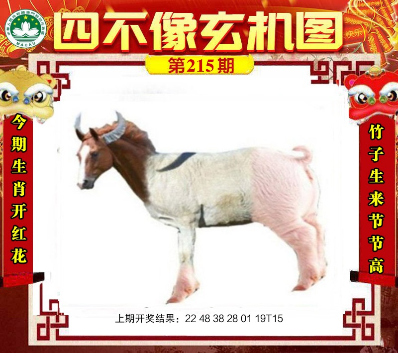 点击图片放大