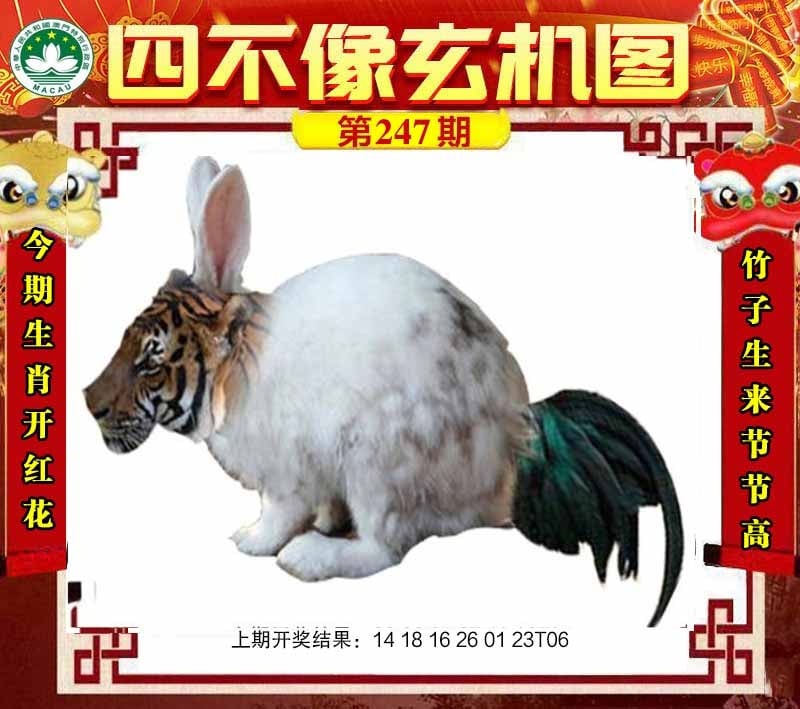 点击图片放大