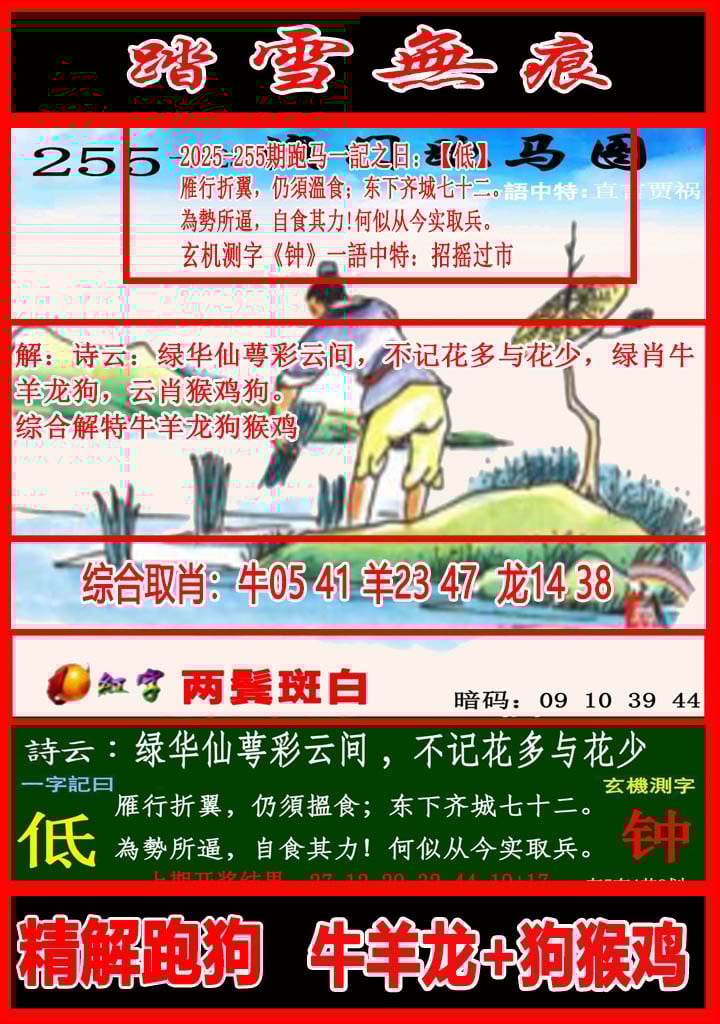 图片正在更新中……