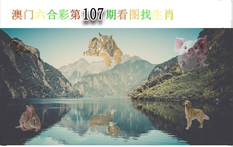 图片更新中...关注 58149 .com 稍后查看