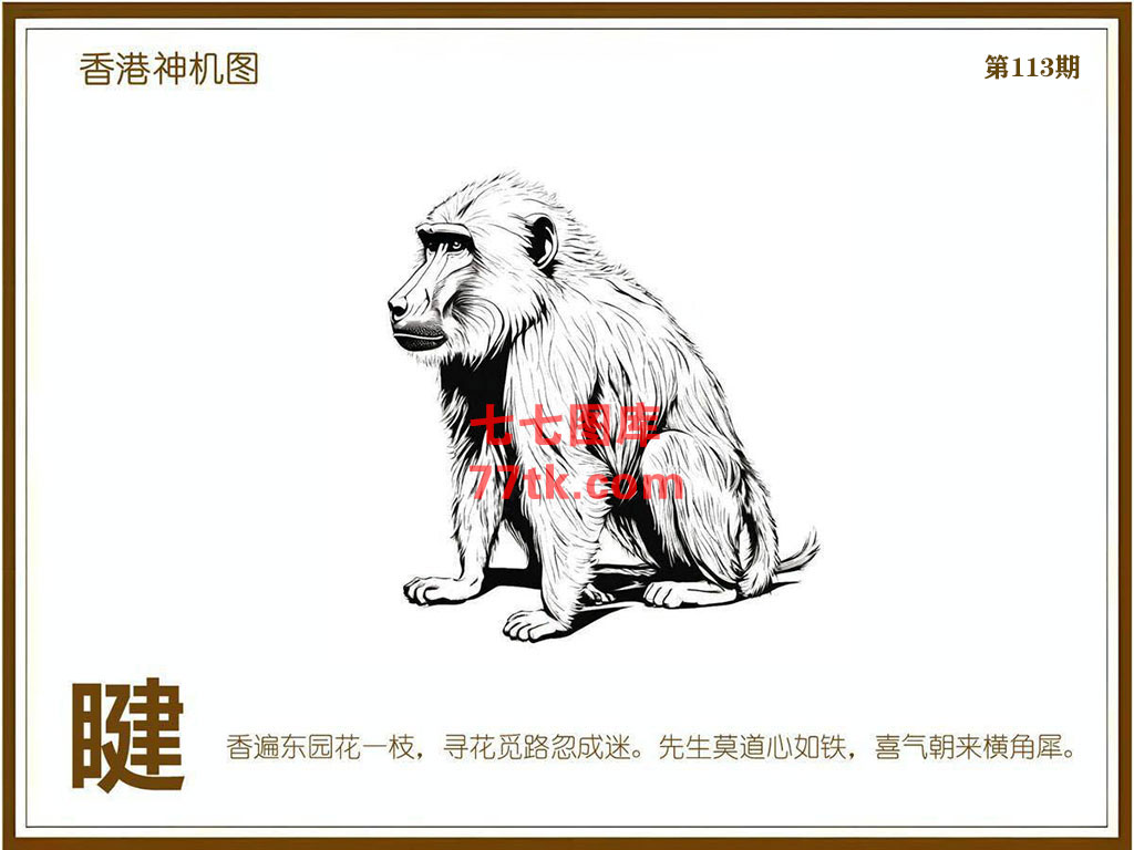 神机图 第113期