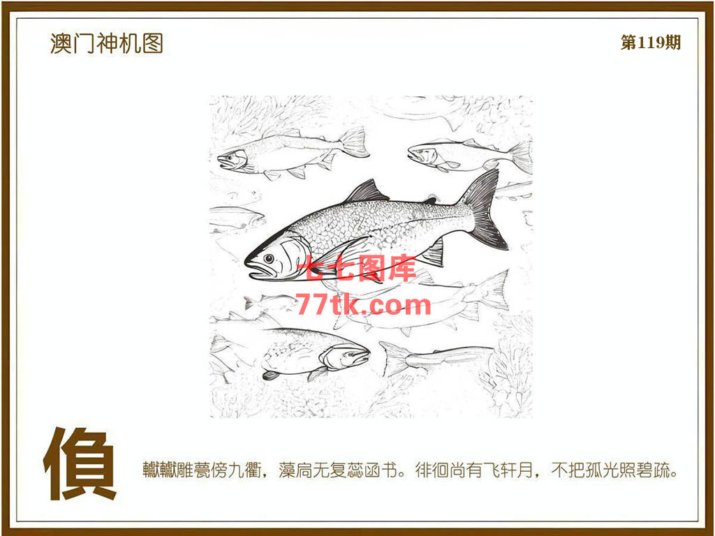 神机图 第119期