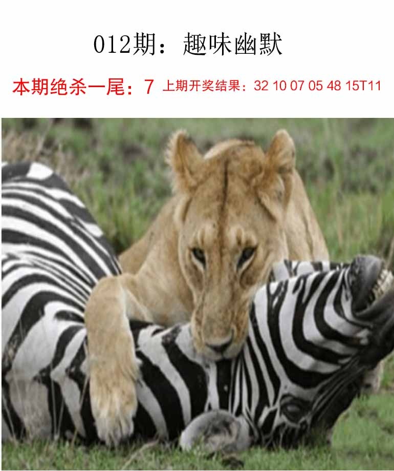 ���ͼƬ�Ŵ�