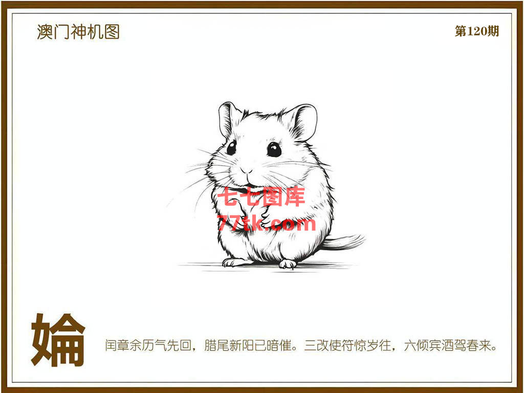 神机图 第120期