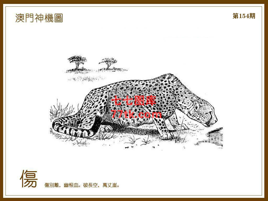 神机图 第154期