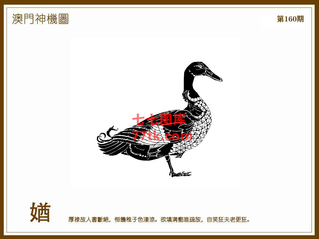 神机图 第160期