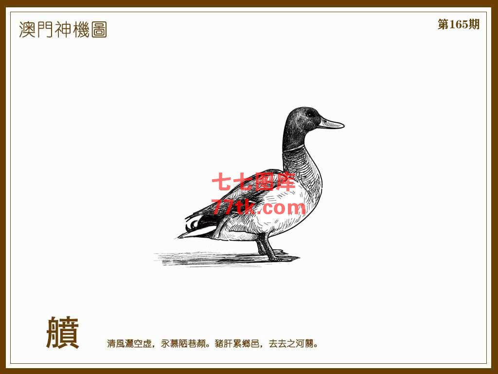 神机图 第165期