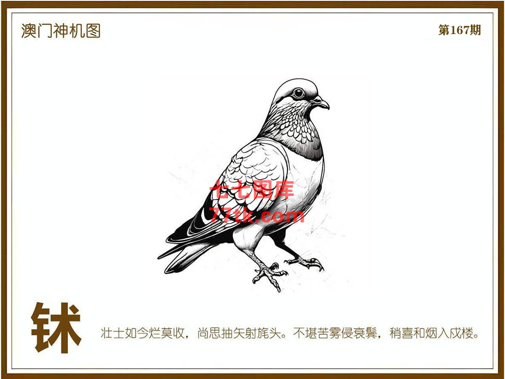 神机图 第167期