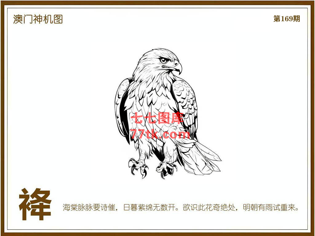 神机图 第169期