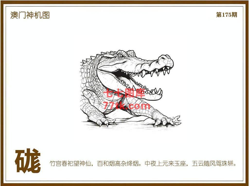 神机图 第175期