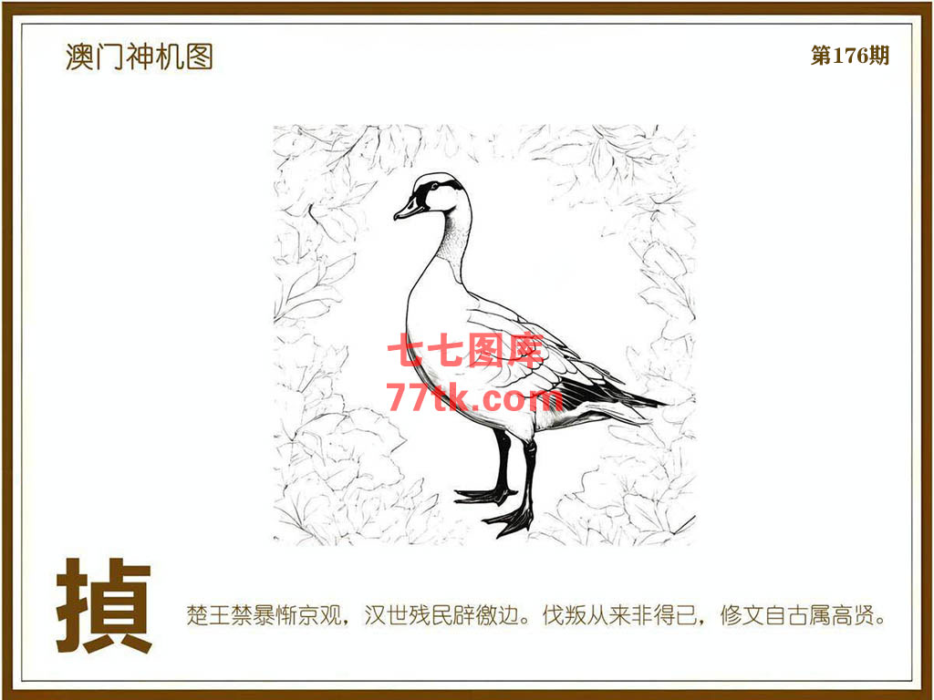 神机图 第176期