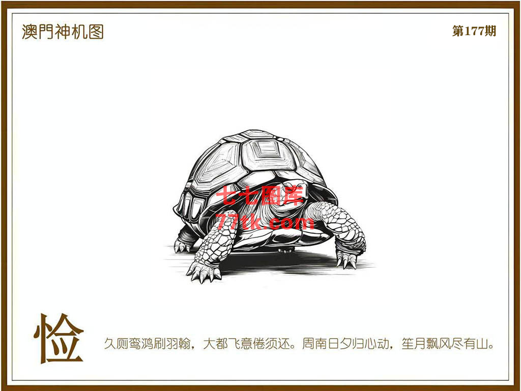 神机图 第177期