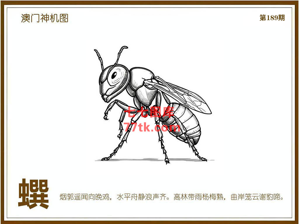 神机图 第189期