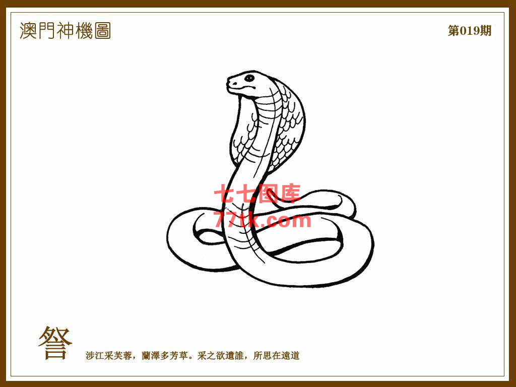 神机图 第19期