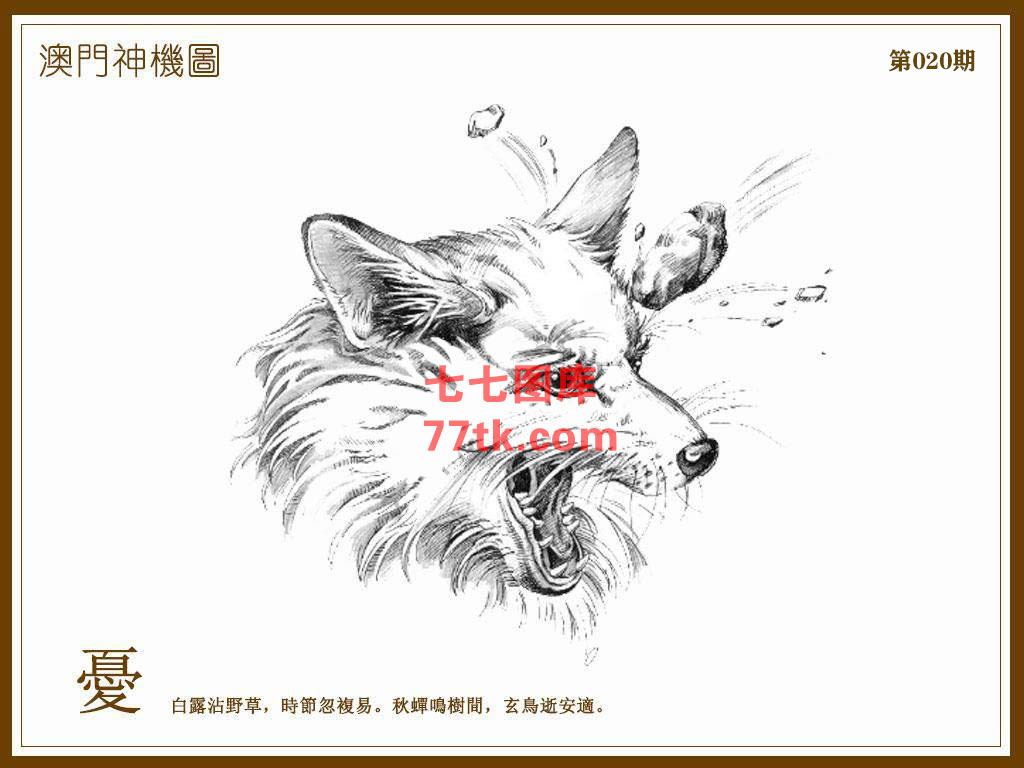 神机图 第20期