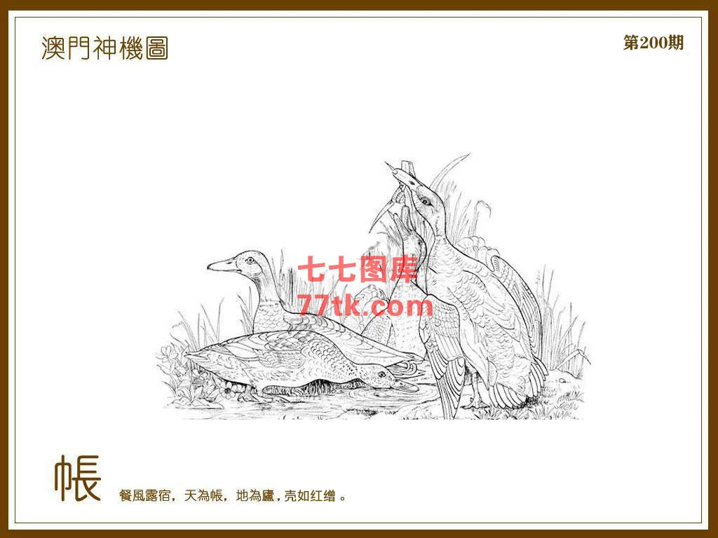 神机图 第200期