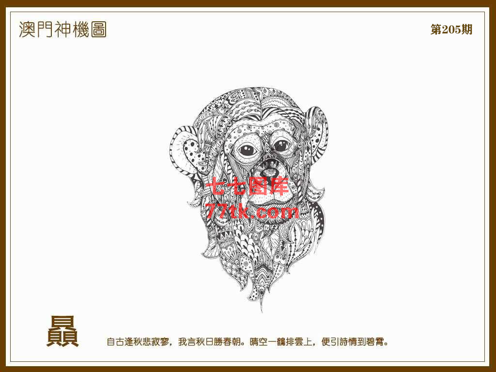 神机图 第205期
