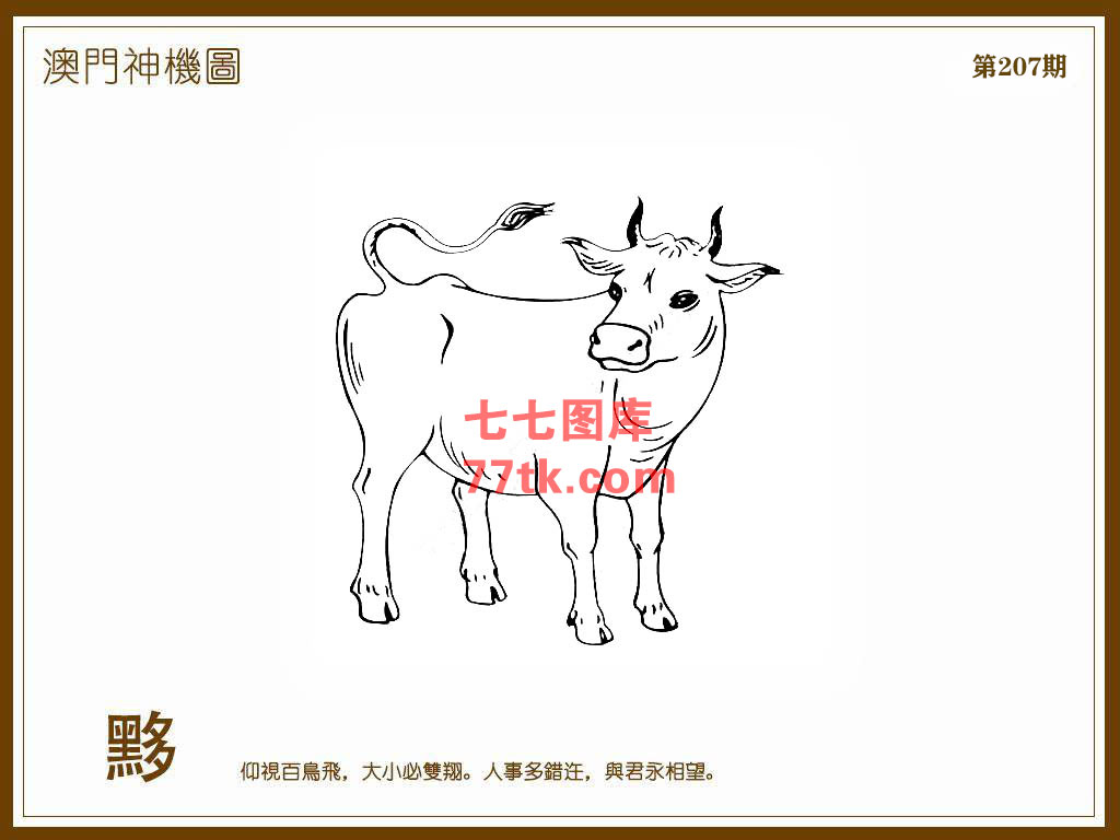 神机图 第207期
