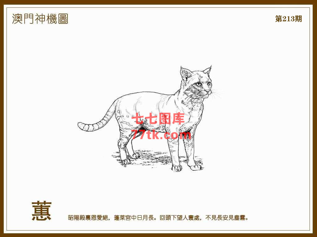 神机图 第213期