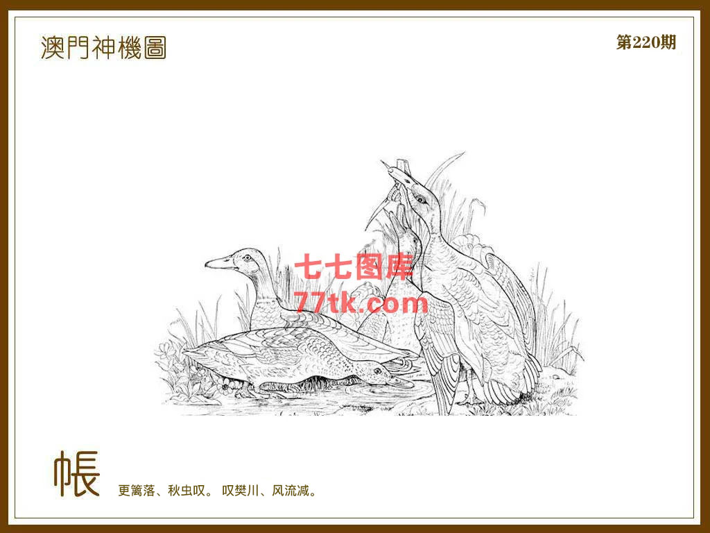 神机图 第220期