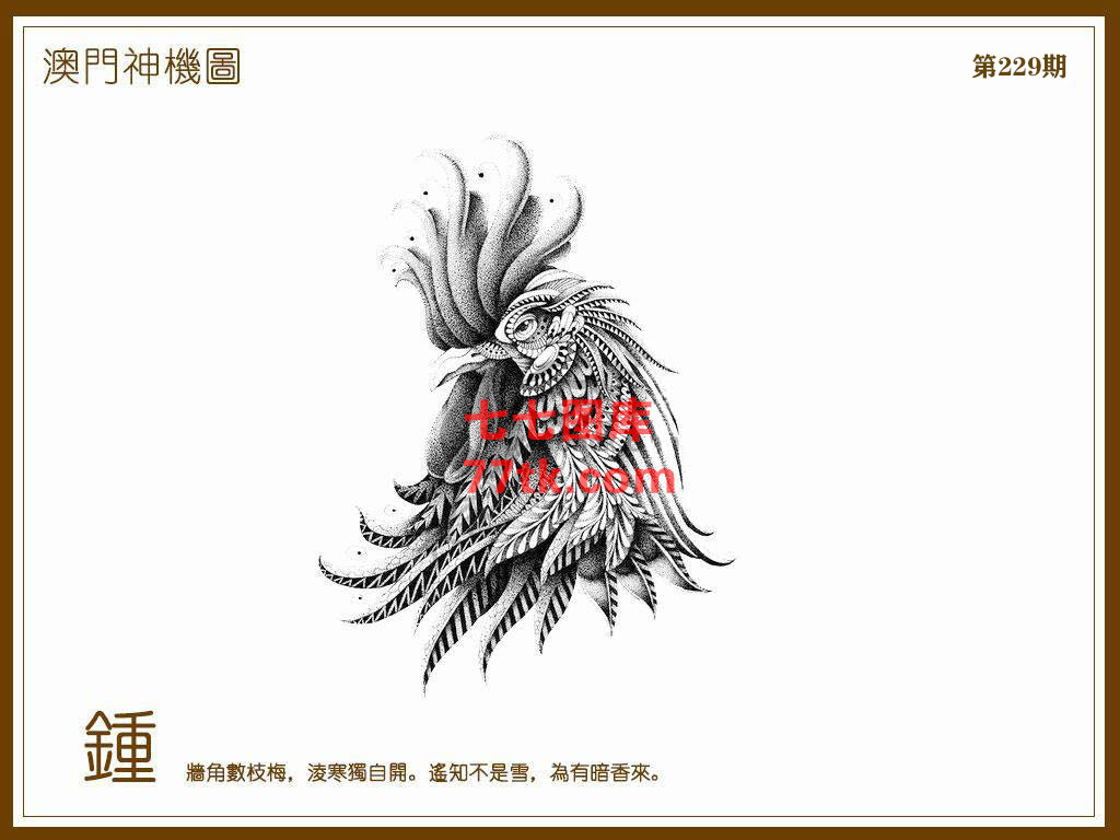 神机图 第229期
