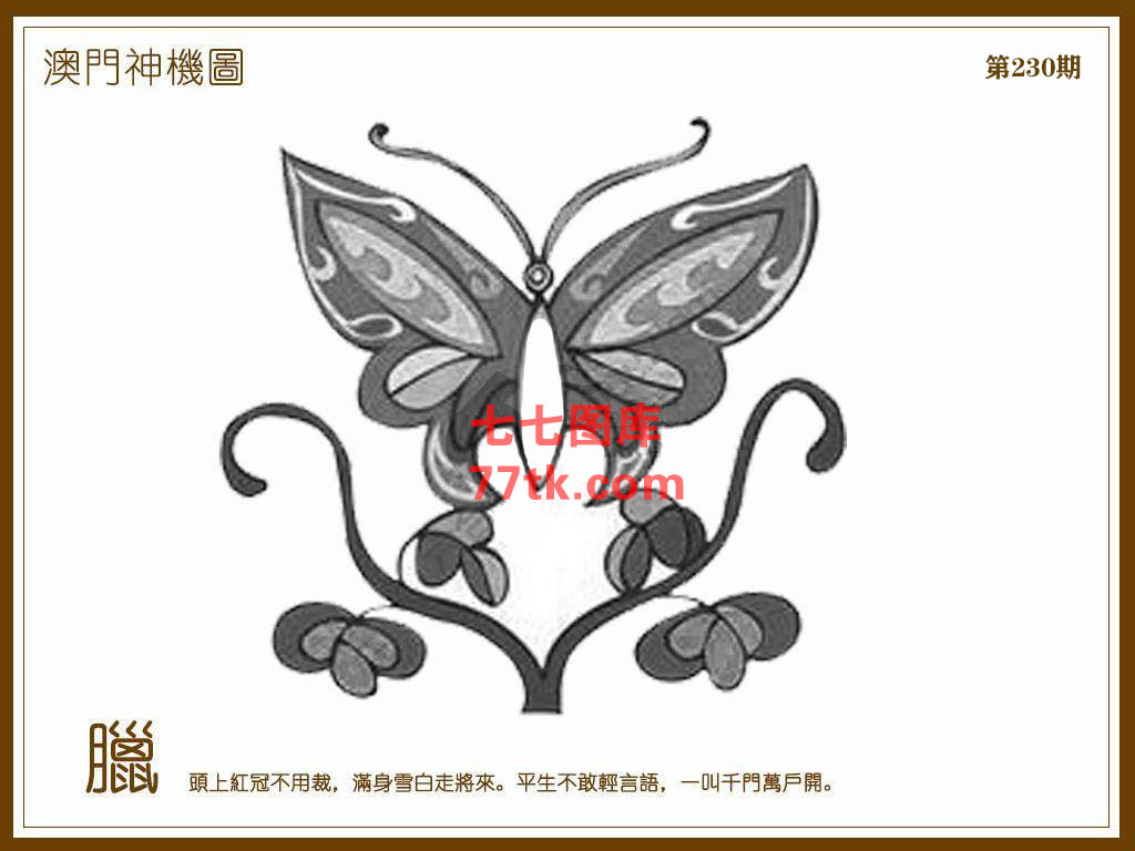 神机图 第230期