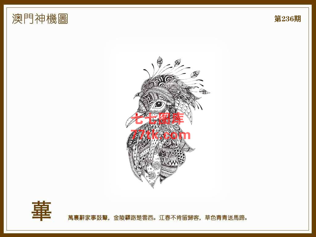 神机图 第236期