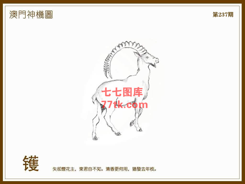 神机图 第237期