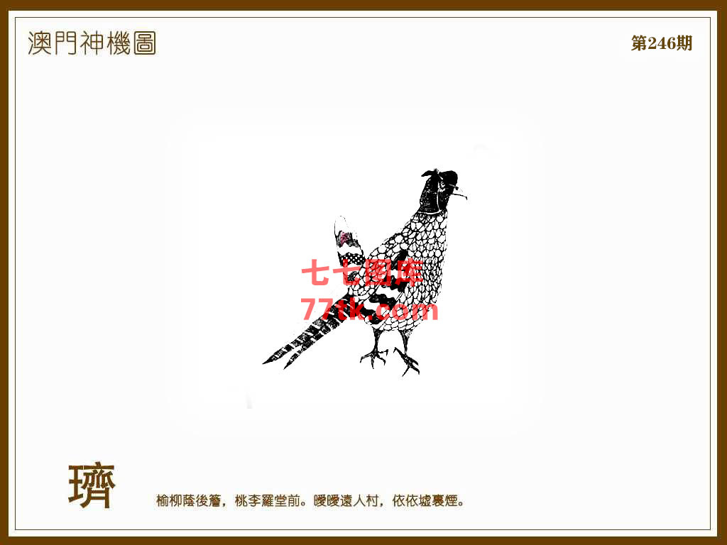 神机图 第246期