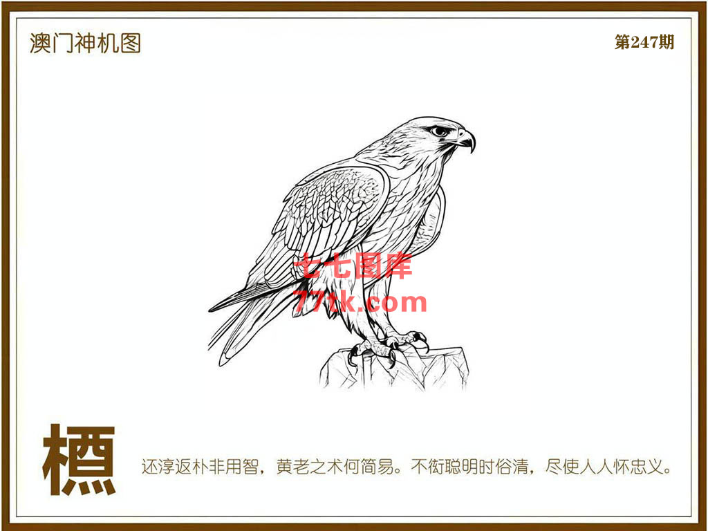 神机图 第247期