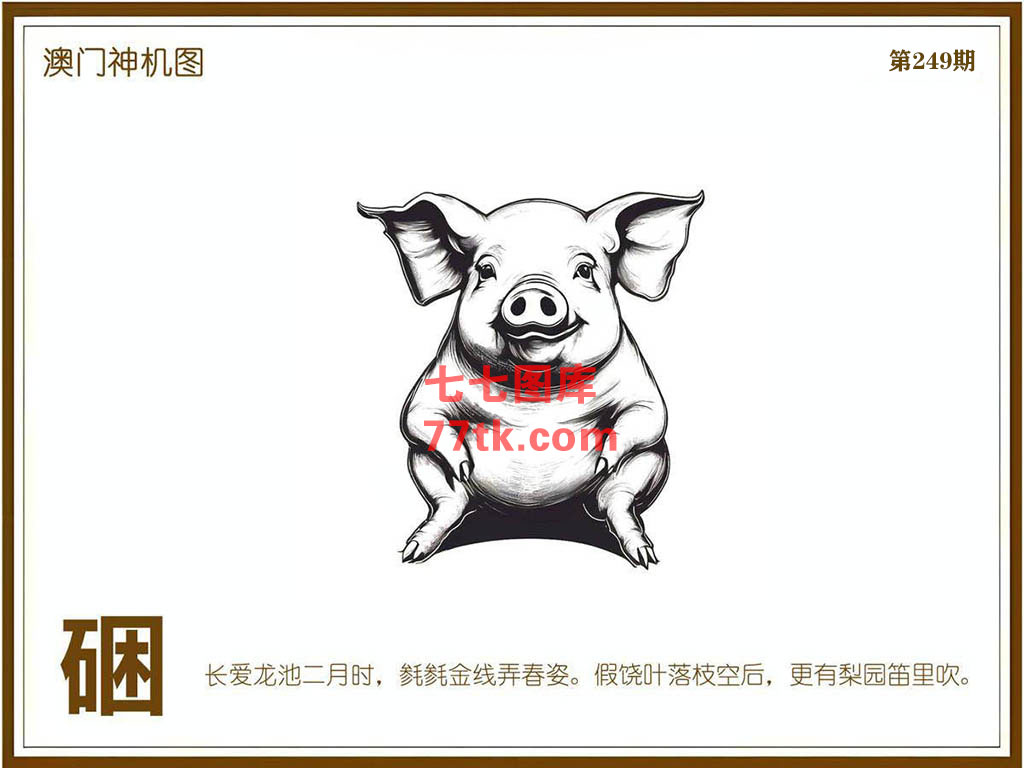 神机图 第249期