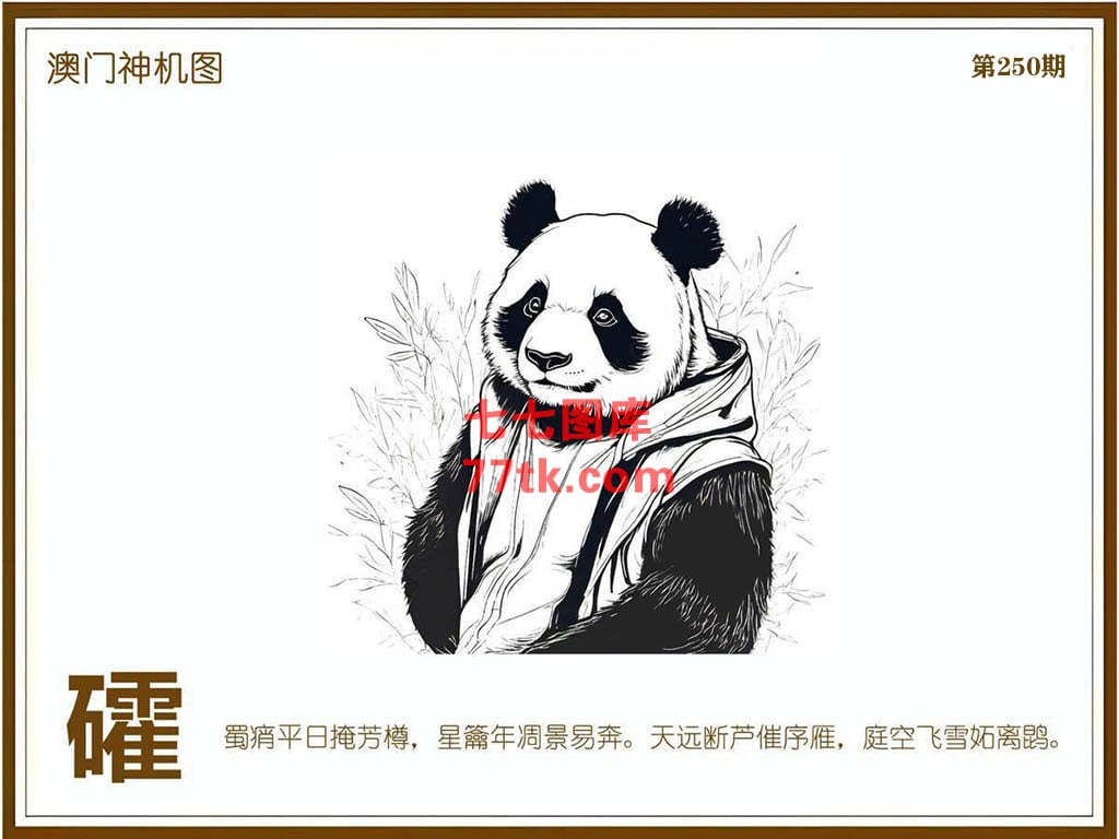 神机图 第250期