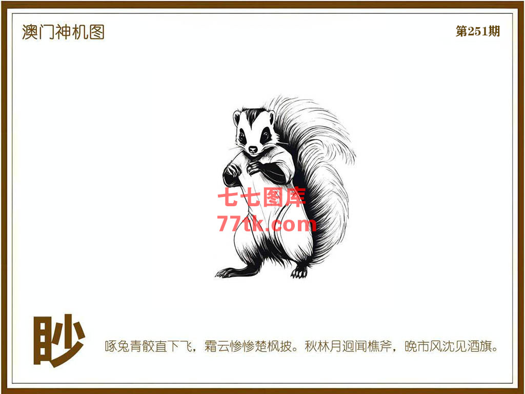 神机图 第251期