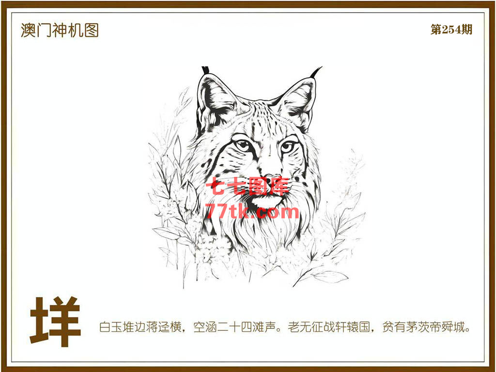 神机图 第254期