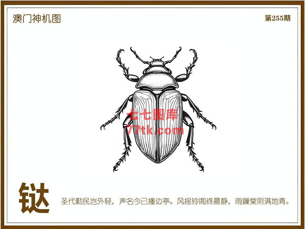 神机图 第255期