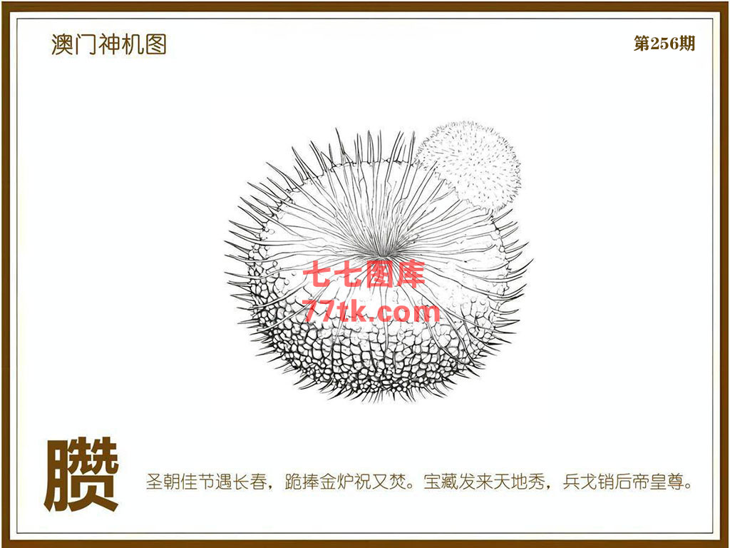 神机图 第256期