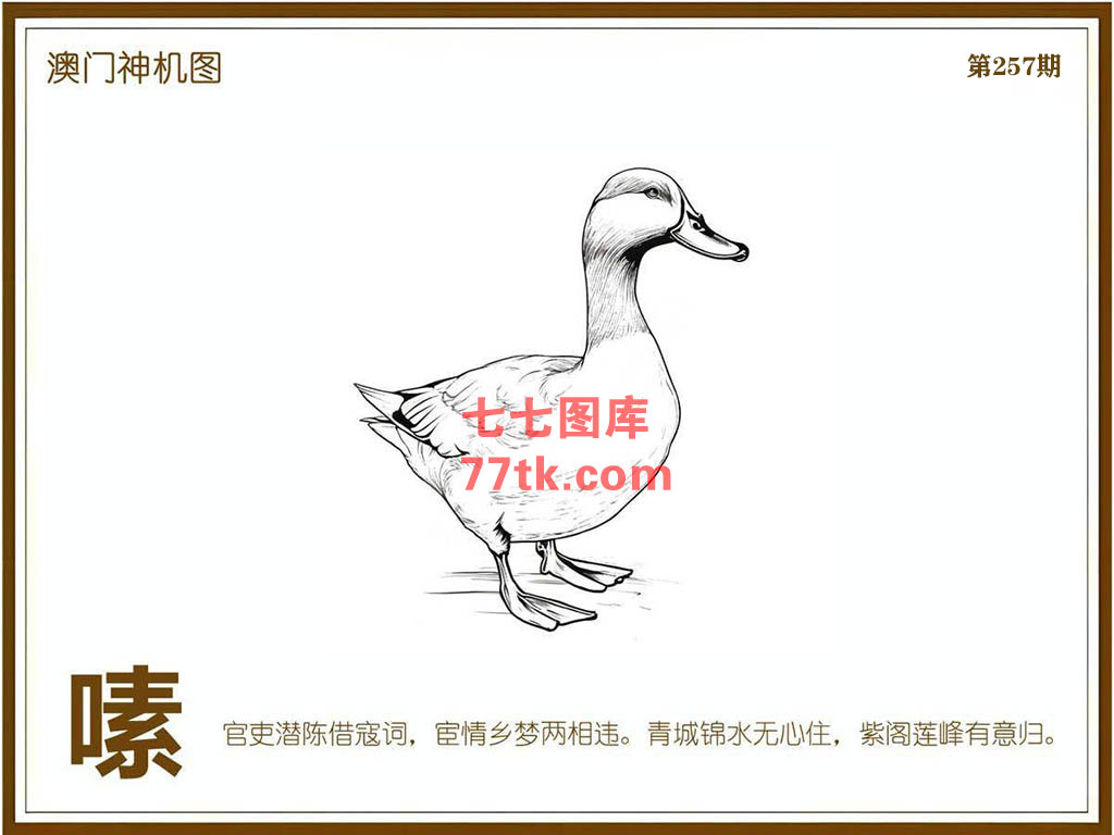 神机图 第257期
