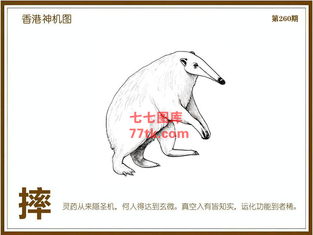 神机图 第260期