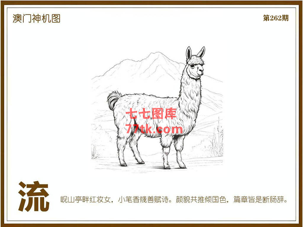 神机图 第262期