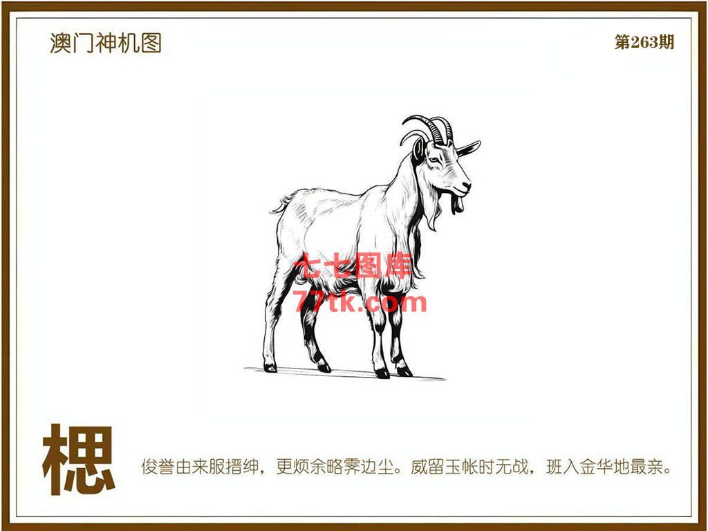 神机图 第263期