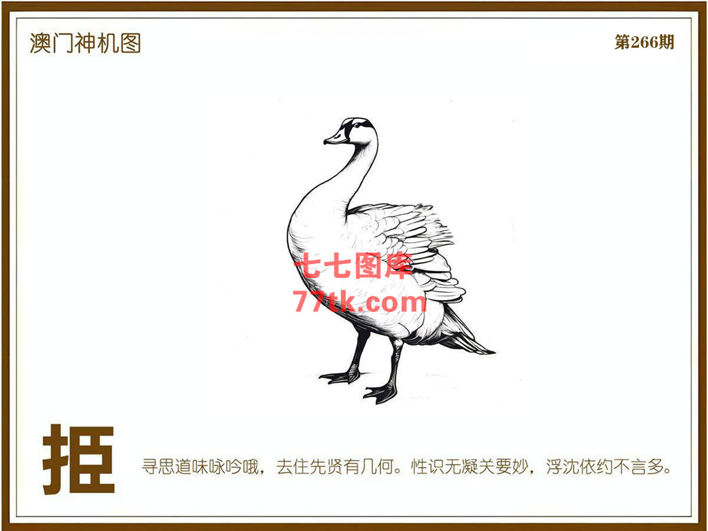 神机图 第266期