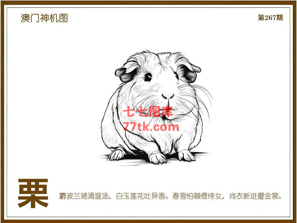 神机图 第267期