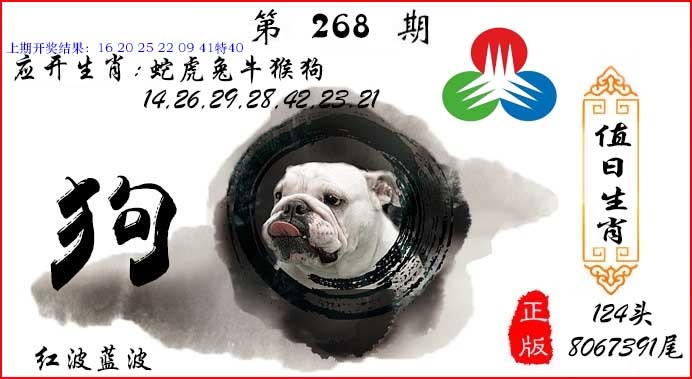 图片如未更新，可能正在上传中，或者开奖日再来看看，不便之处请谅解！