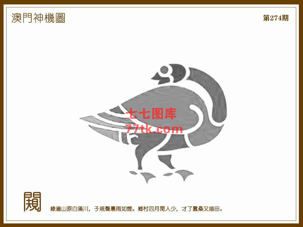 神机图 第274期