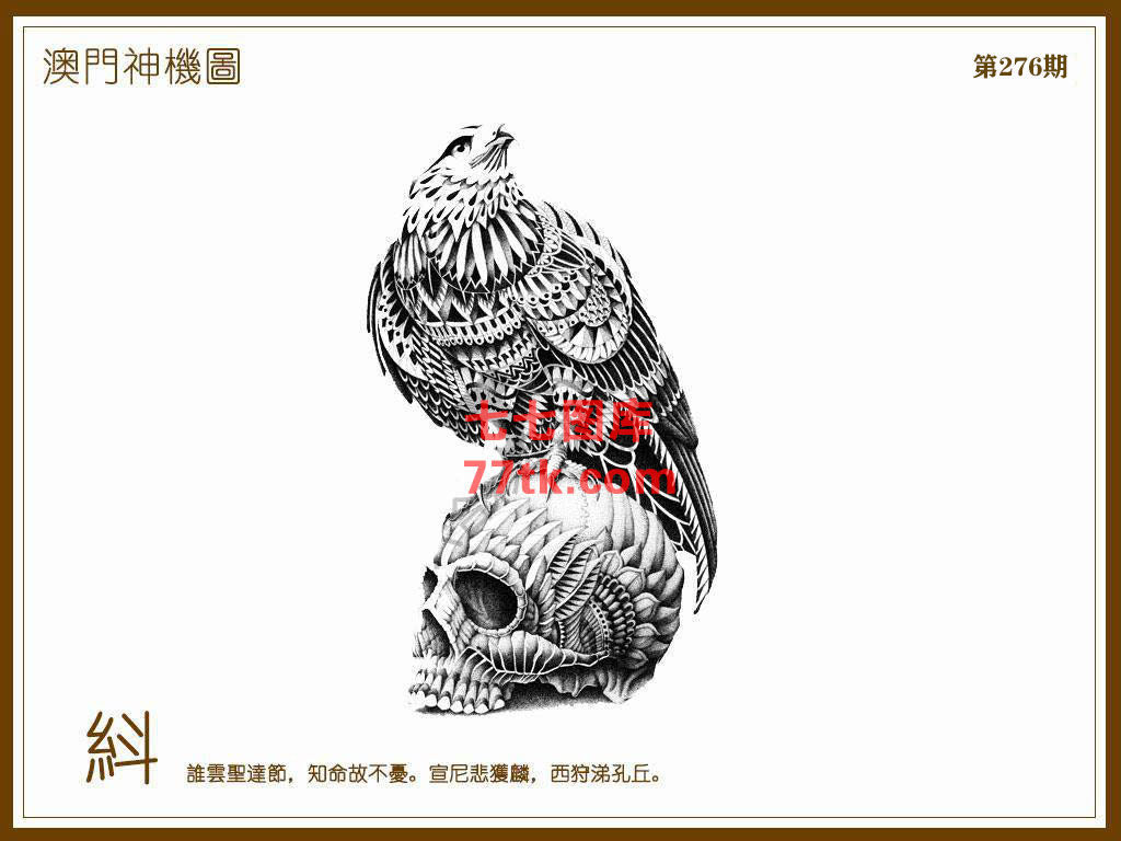 神机图 第276期