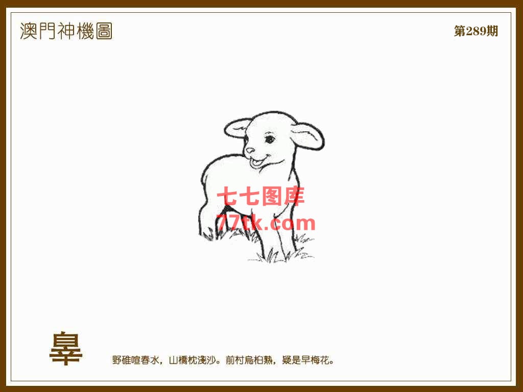 神机图 第289期