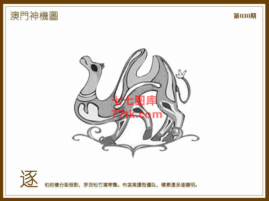 神机图 第30期