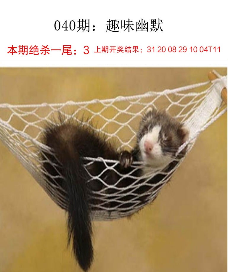 ���ͼƬ�Ŵ�