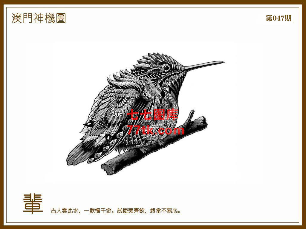 神机图 第47期